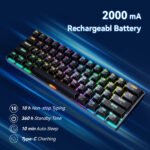 Compact 61-Key RGB Mechanical Keyboard - TKL Wireless/Wired - ABCognify EU Tech Store