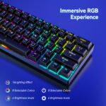 Compact 61-Key RGB Mechanical Keyboard - TKL Wireless/Wired - ABCognify EU Tech Store